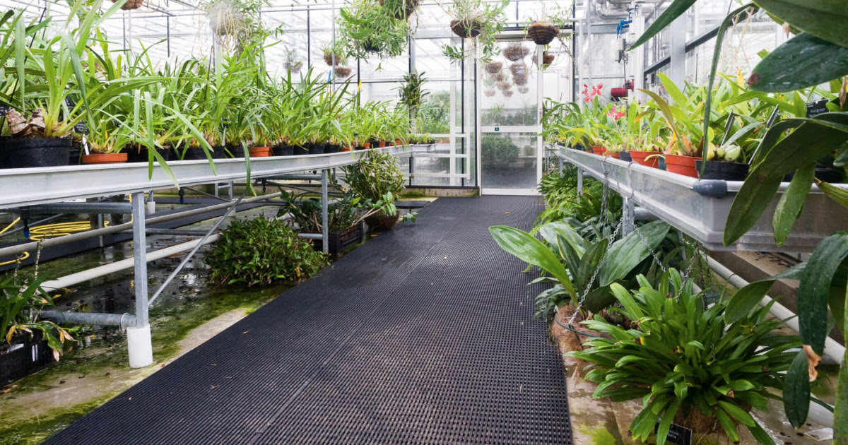 11 Best Greenhouse Flooring for 2024