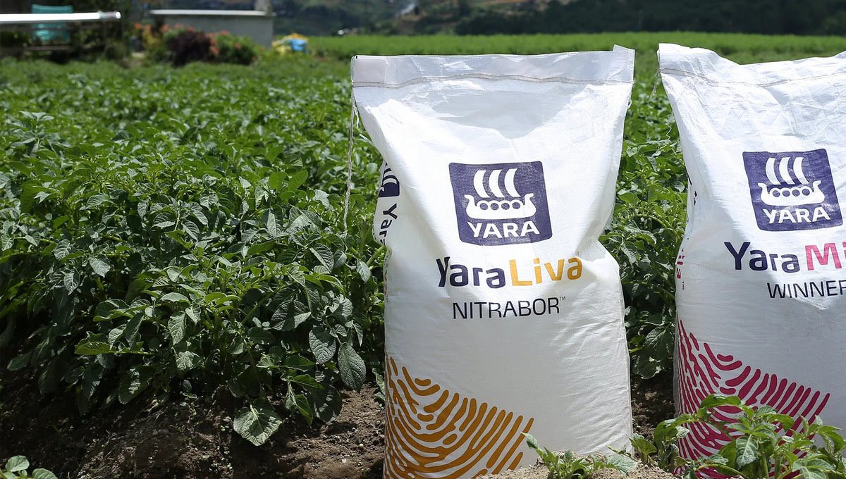 11 Incredible Calcium Nitrate Fertilizer for 2023