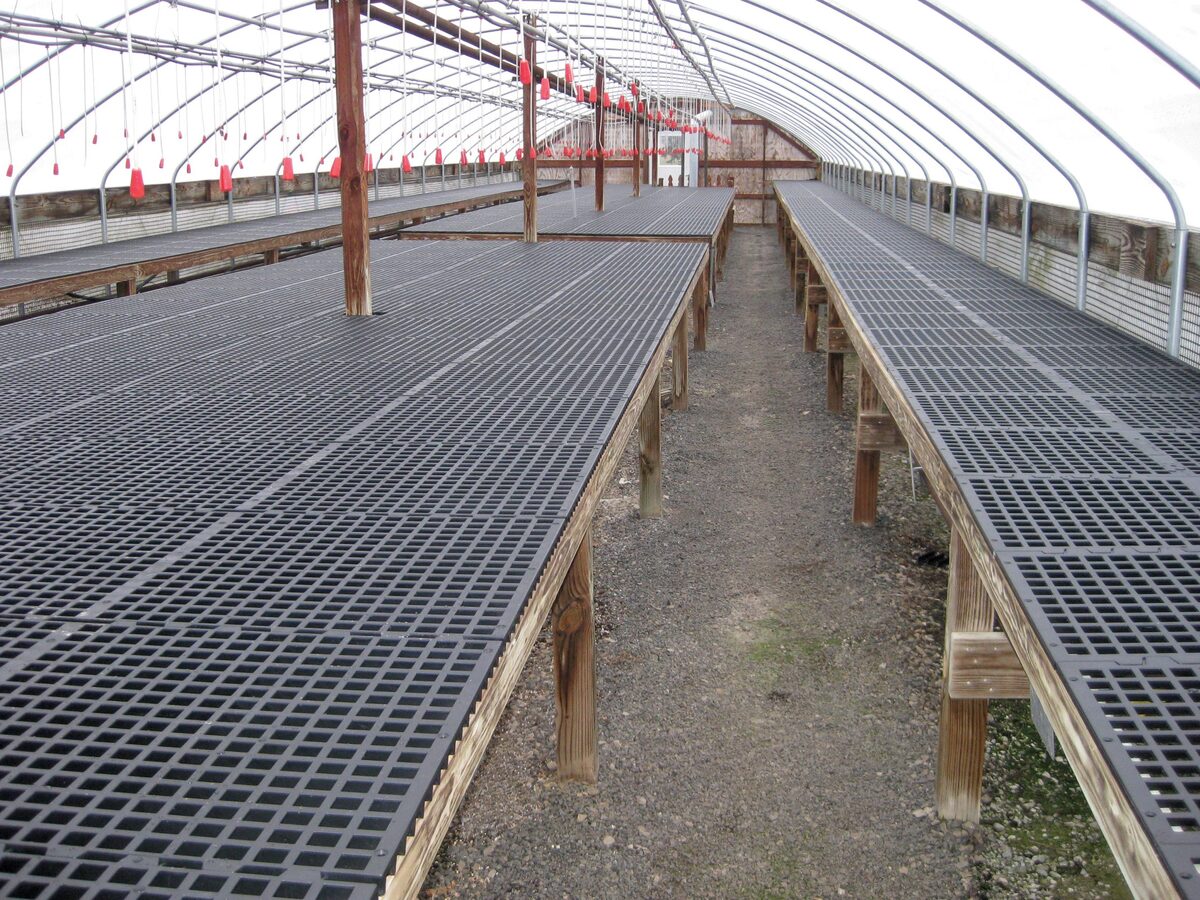 11 Superior Greenhouse Benches for 2024
