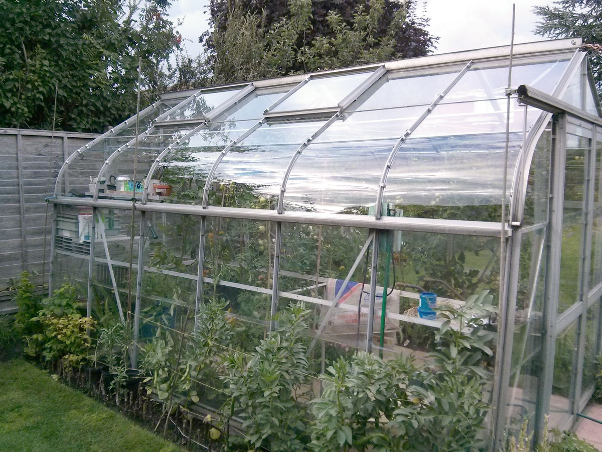 11 Superior Plexiglass Greenhouse for 2024