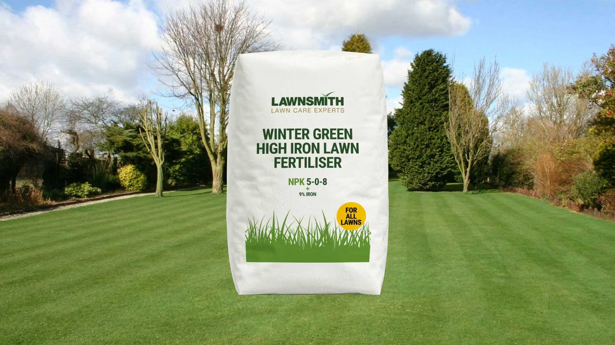 11 Superior Winter Fertilizer for 2024