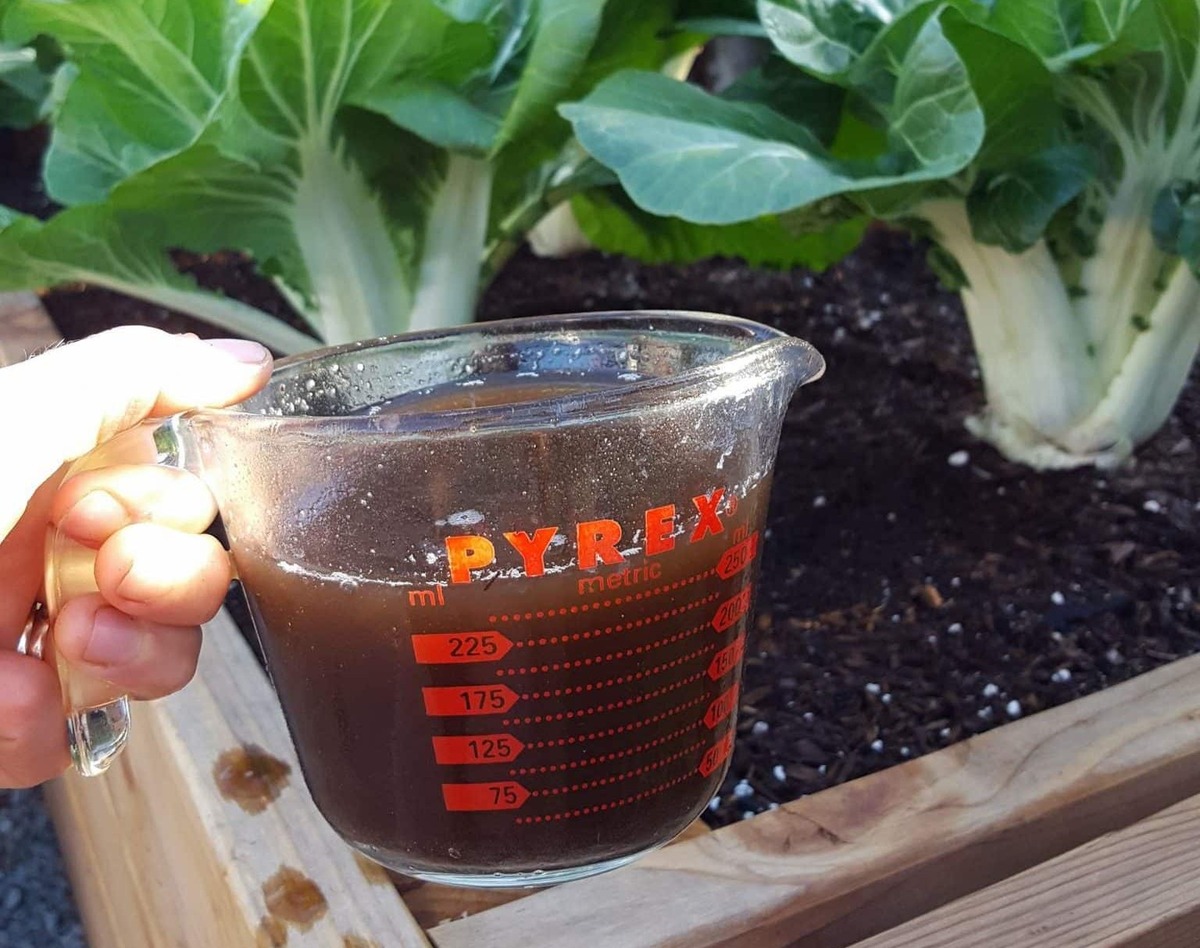 12 Incredible Compost Tea for 2024