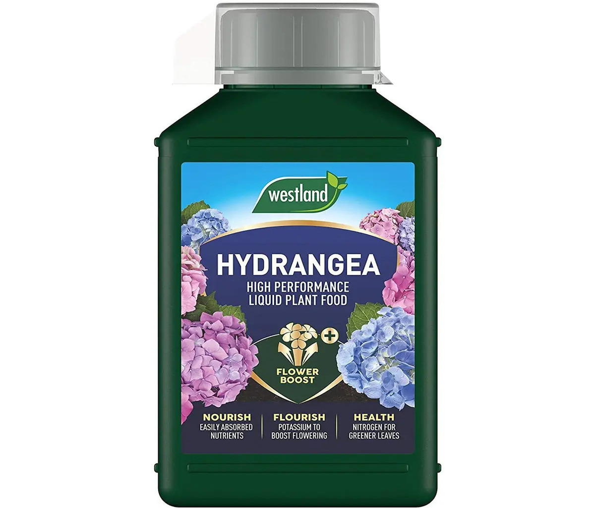 12 Incredible Hydrangea Fertilizer for 2024