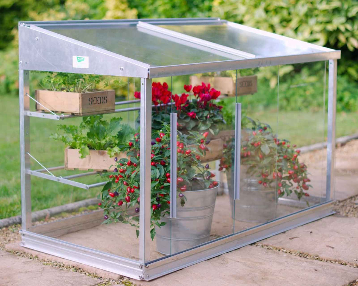 12 Superior Mini Glass Greenhouse for 2024