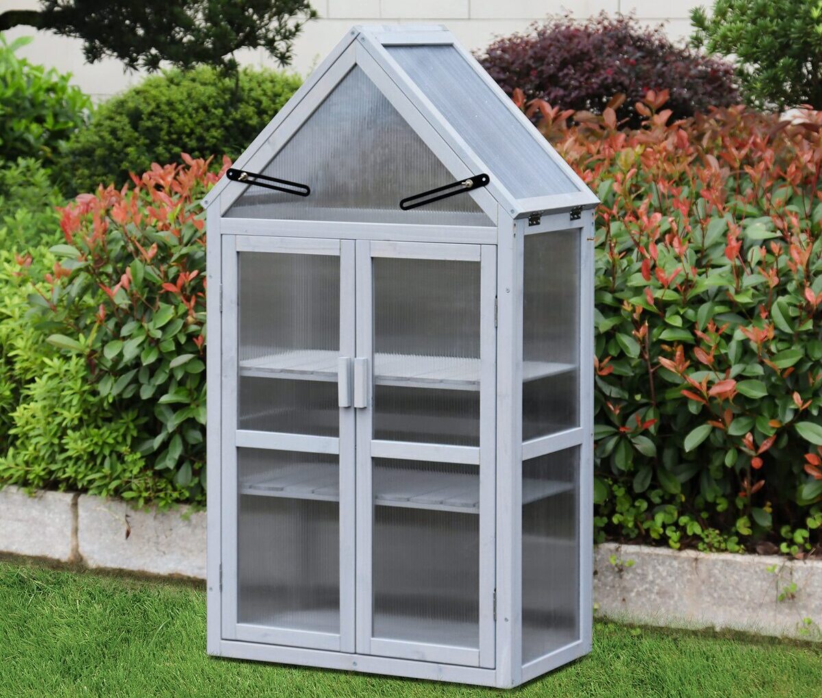 12 Superior Small Outdoor Greenhouse for 2024