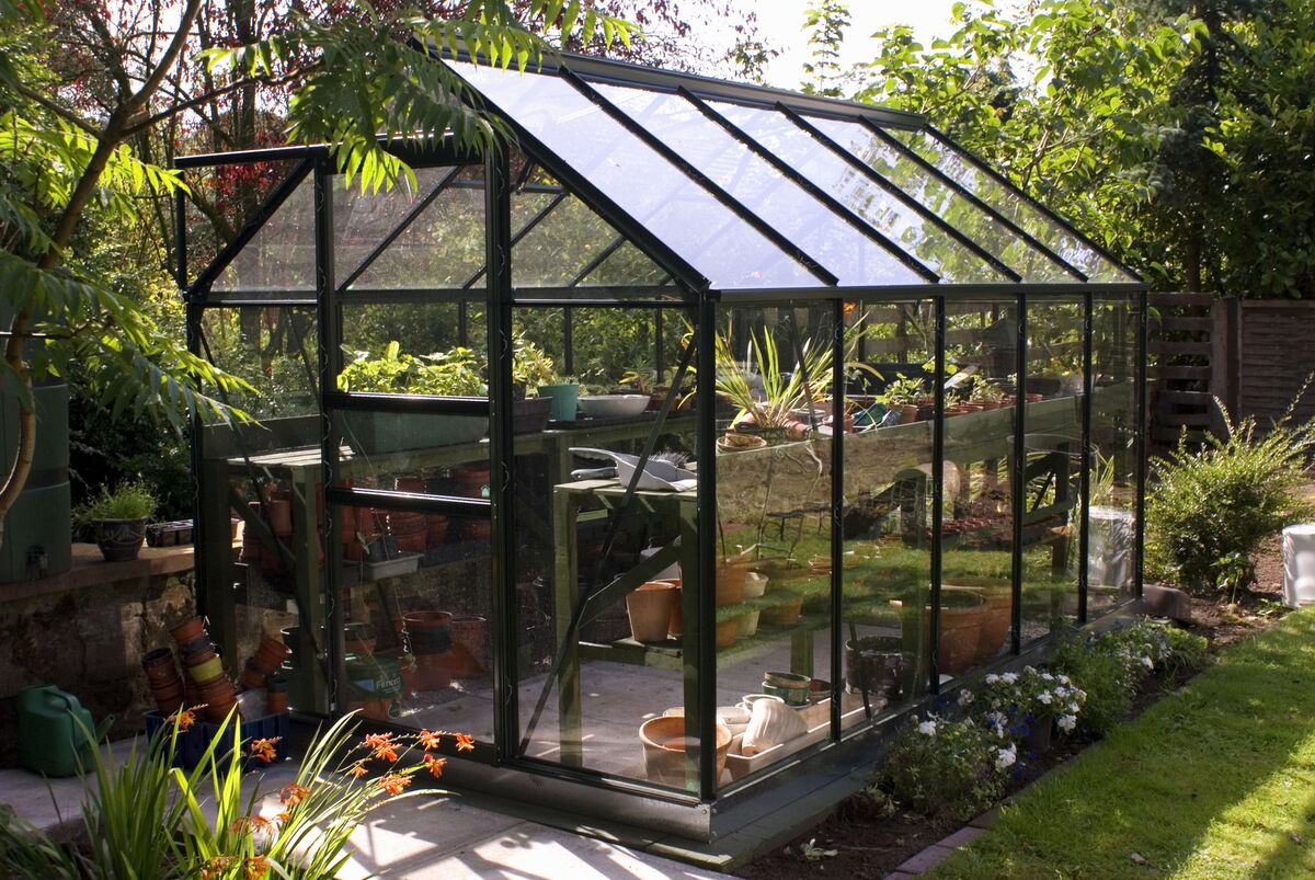 12 Unbelievable Glass Greenhouse for 2024