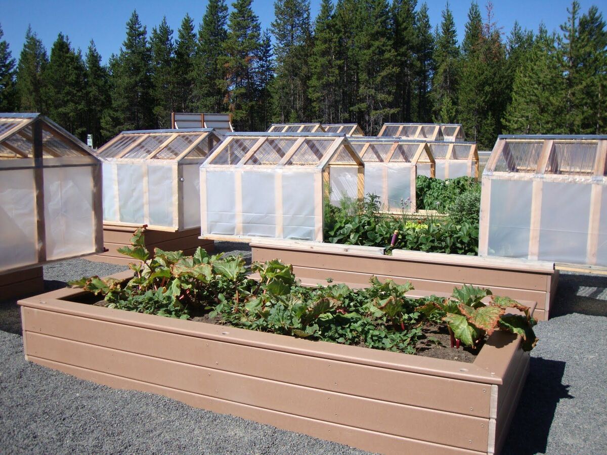 12 Unbelievable Raised Bed Greenhouse for 2024