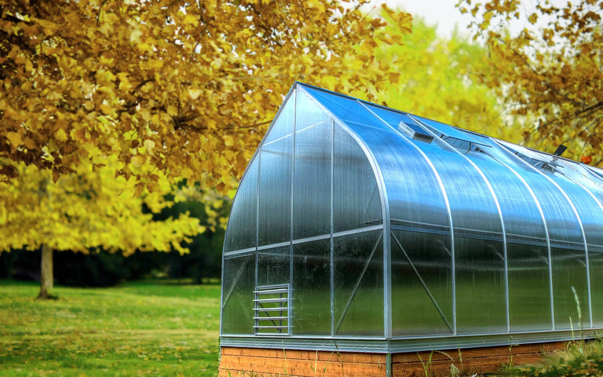 13 Amazing Climapod Greenhouse for 2024