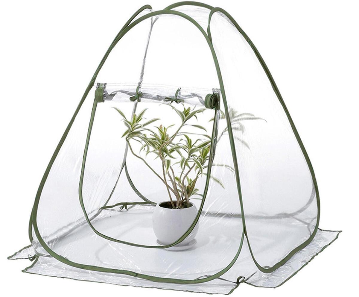 13 Best Portable Greenhouse for 2024