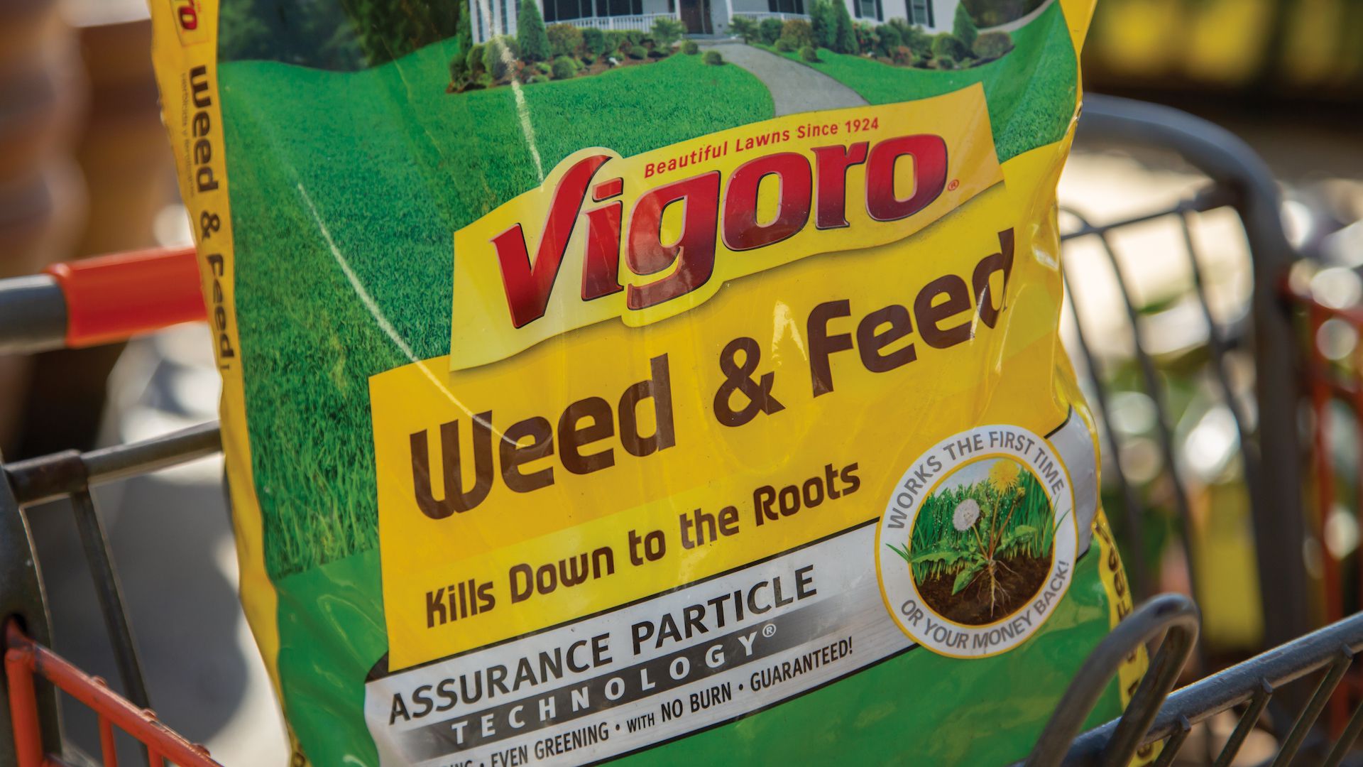 13 Best Vigoro Fertilizer for 2024