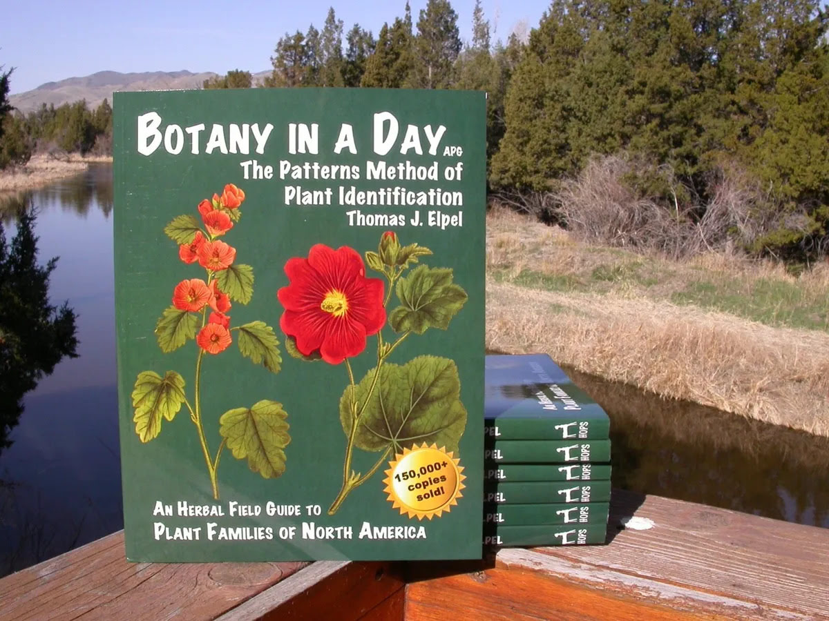 13 Superior Botany In A Day: The Patterns Method Of Plant Identification for 2024