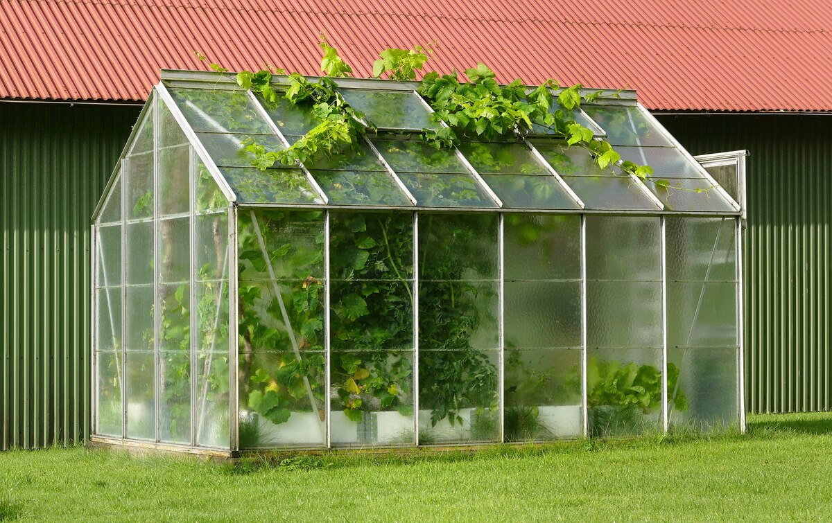 13 Unbelievable Build Greenhouse for 2024