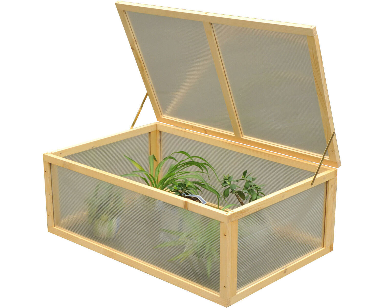 13 Unbelievable Greenhouse Box for 2024