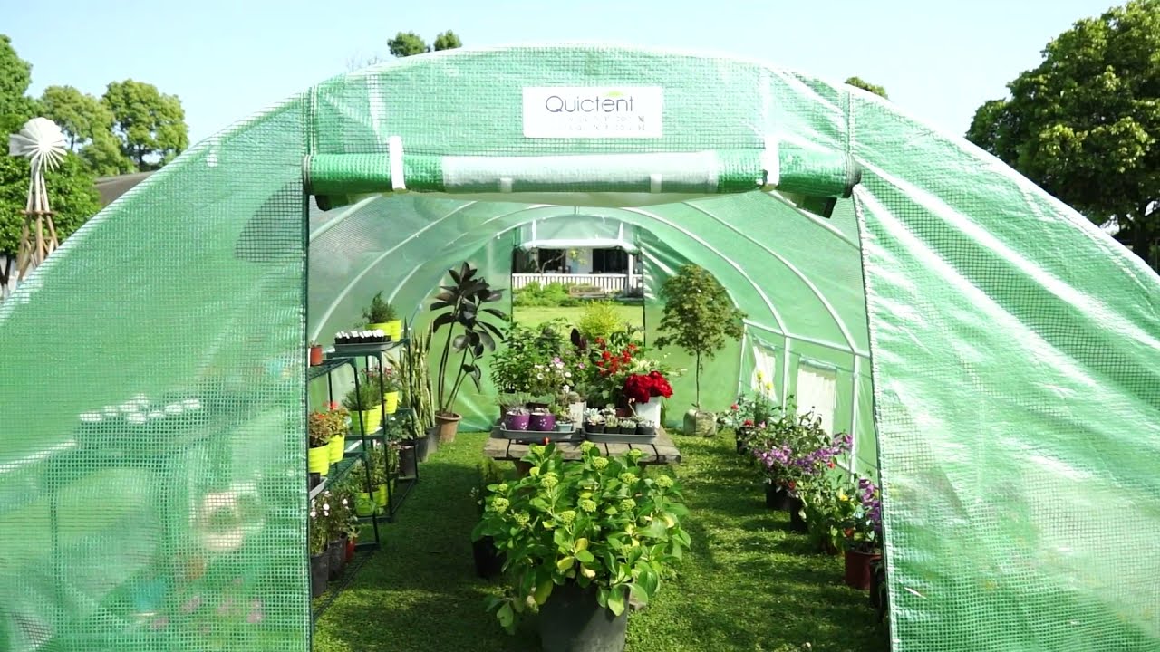 13 Unbelievable Quictent Greenhouse for 2024