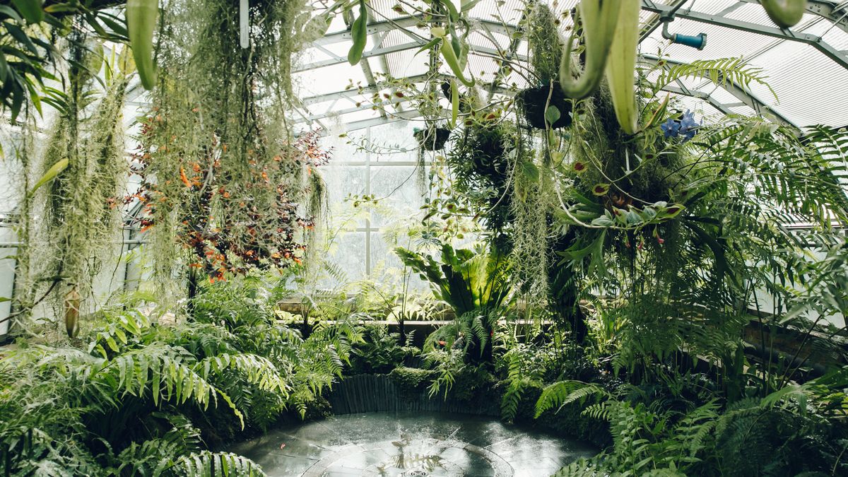 14 Amazing Garden Greenhouse for 2024