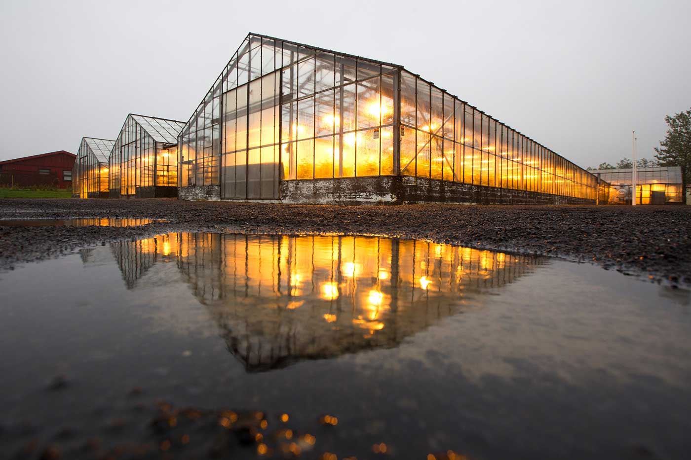 14 Amazing Greenhouse With Light for 2024