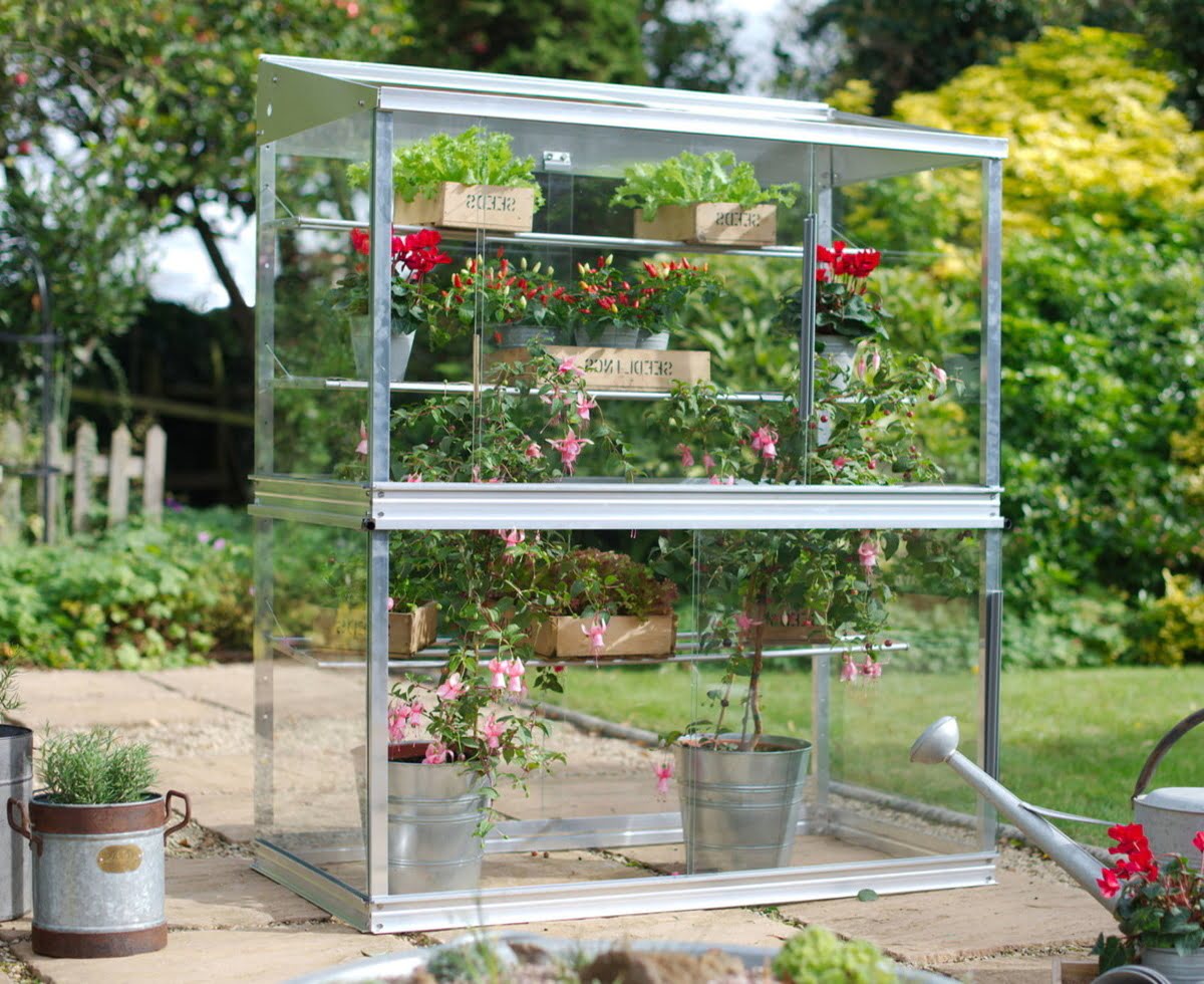 14 Amazing Mini Greenhouse for 2024