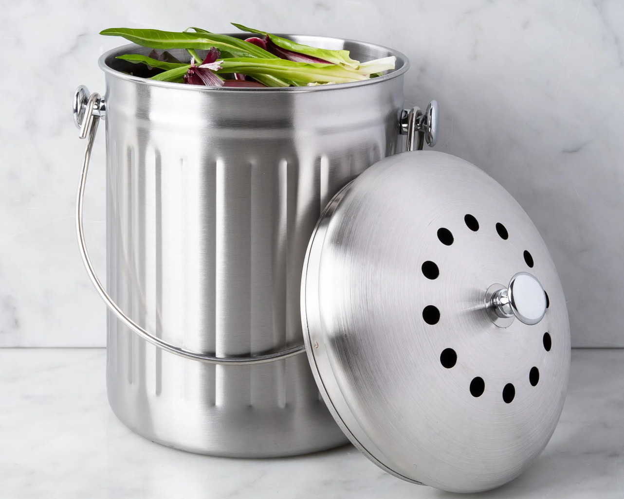 14 Amazing Stainless Steel Compost Pail for 2024