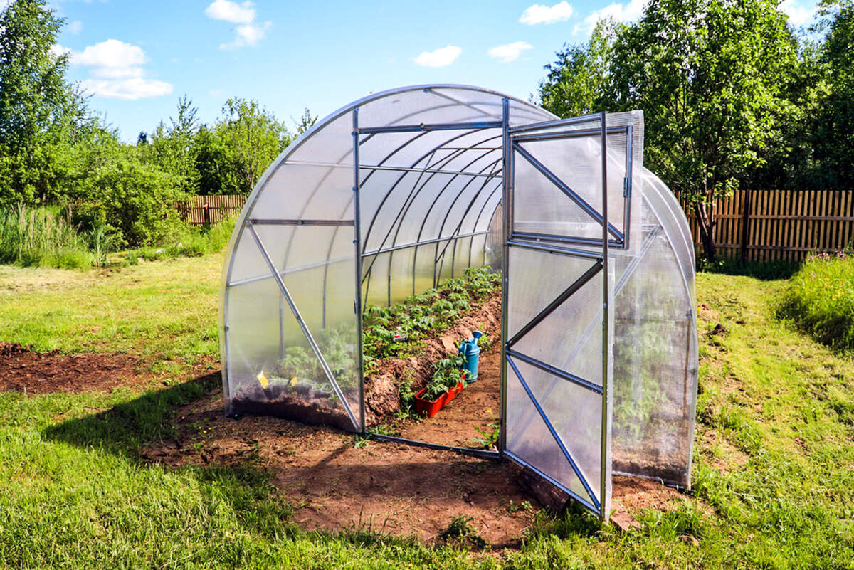 14 Best Build A Greenhouse for 2024