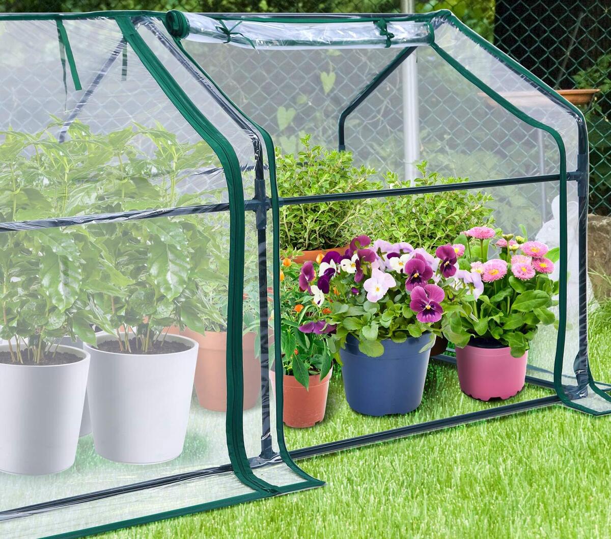 14 Best Ohuhu Greenhouse for 2024