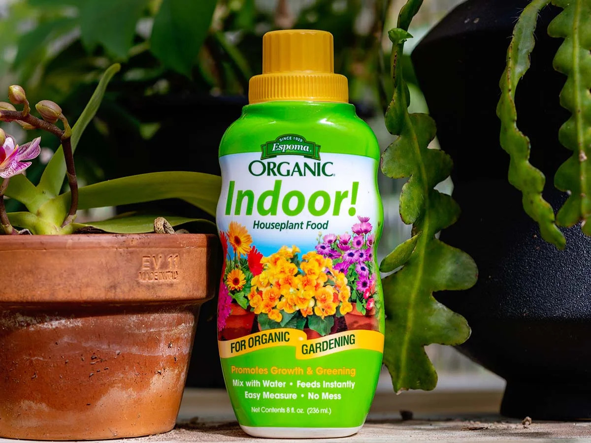 14 Best Organic Indoor Plant Fertilizer for 2023