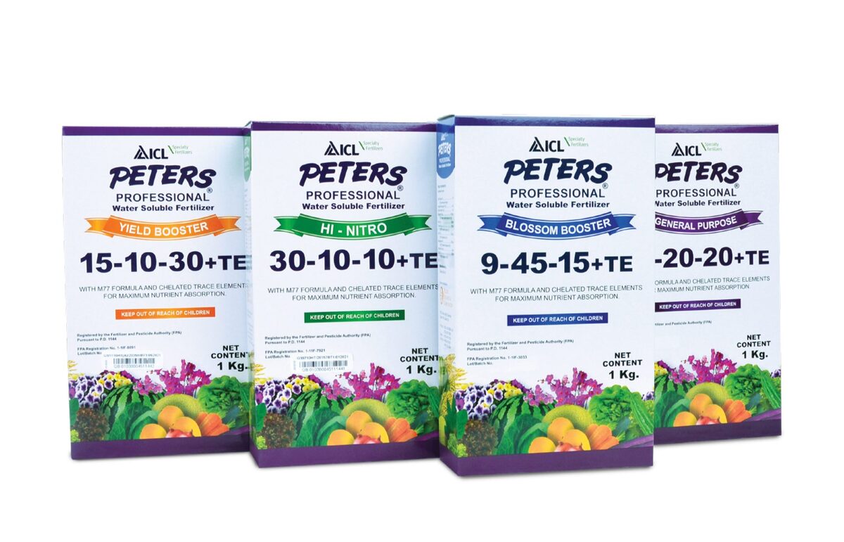 14 Incredible Peters Fertilizer for 2024