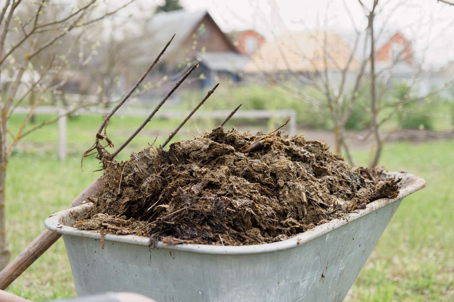 14 Unbelievable Cow Manure Compost for 2024