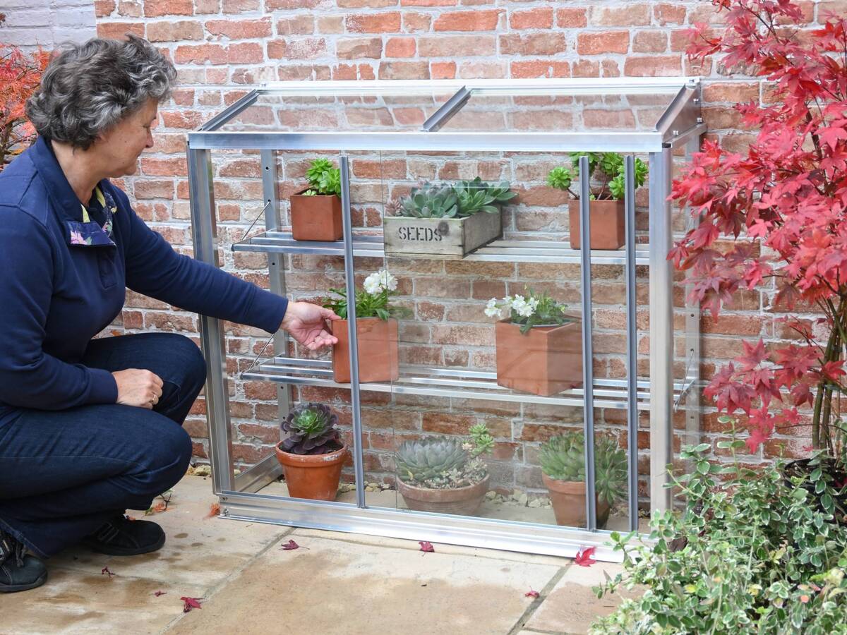 14 Unbelievable Small Glass Greenhouse for 2024