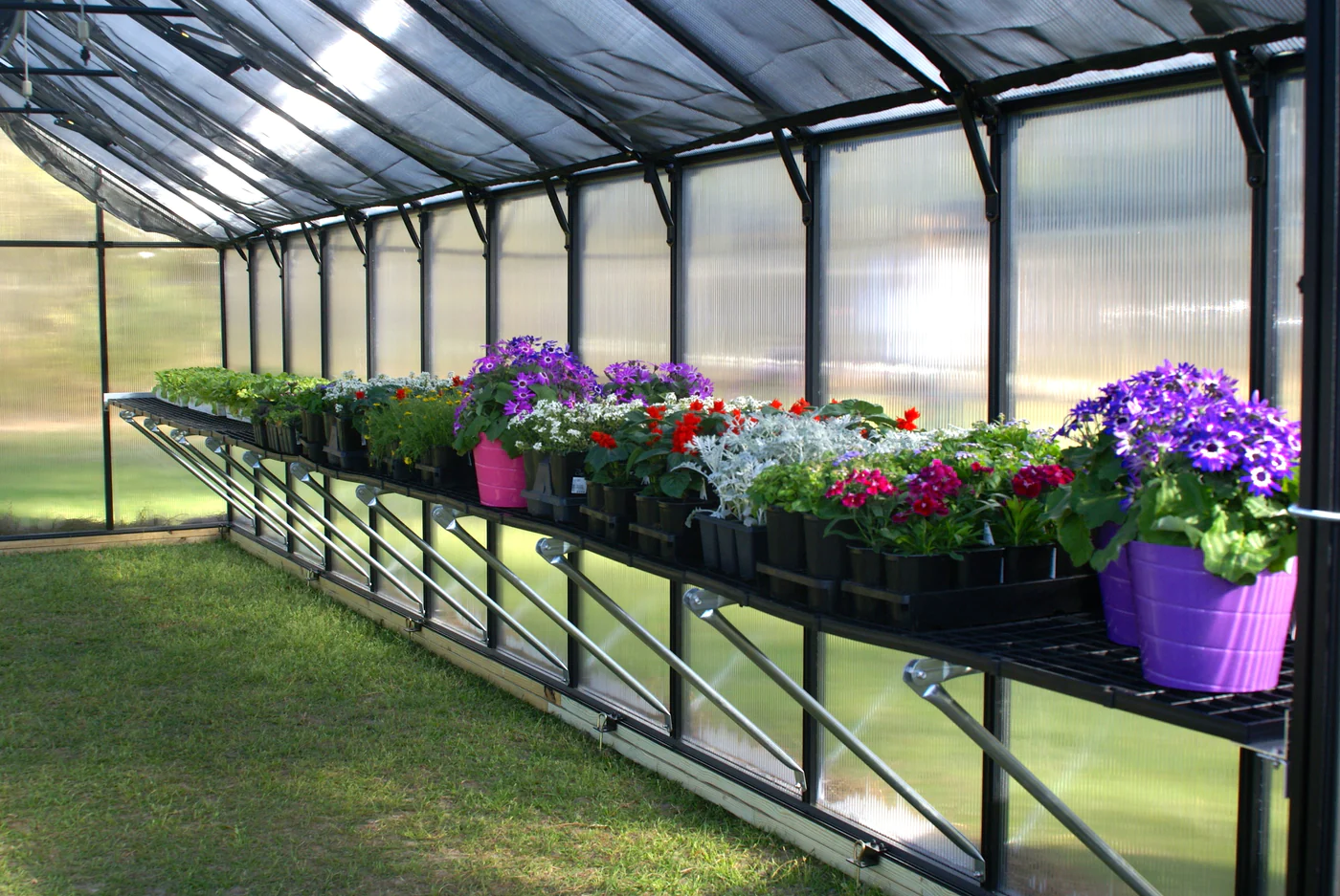 15 Incredible Greenhouse Accessories for 2024