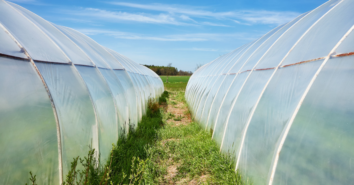 15 Superior Greenhouse Sheeting for 2024