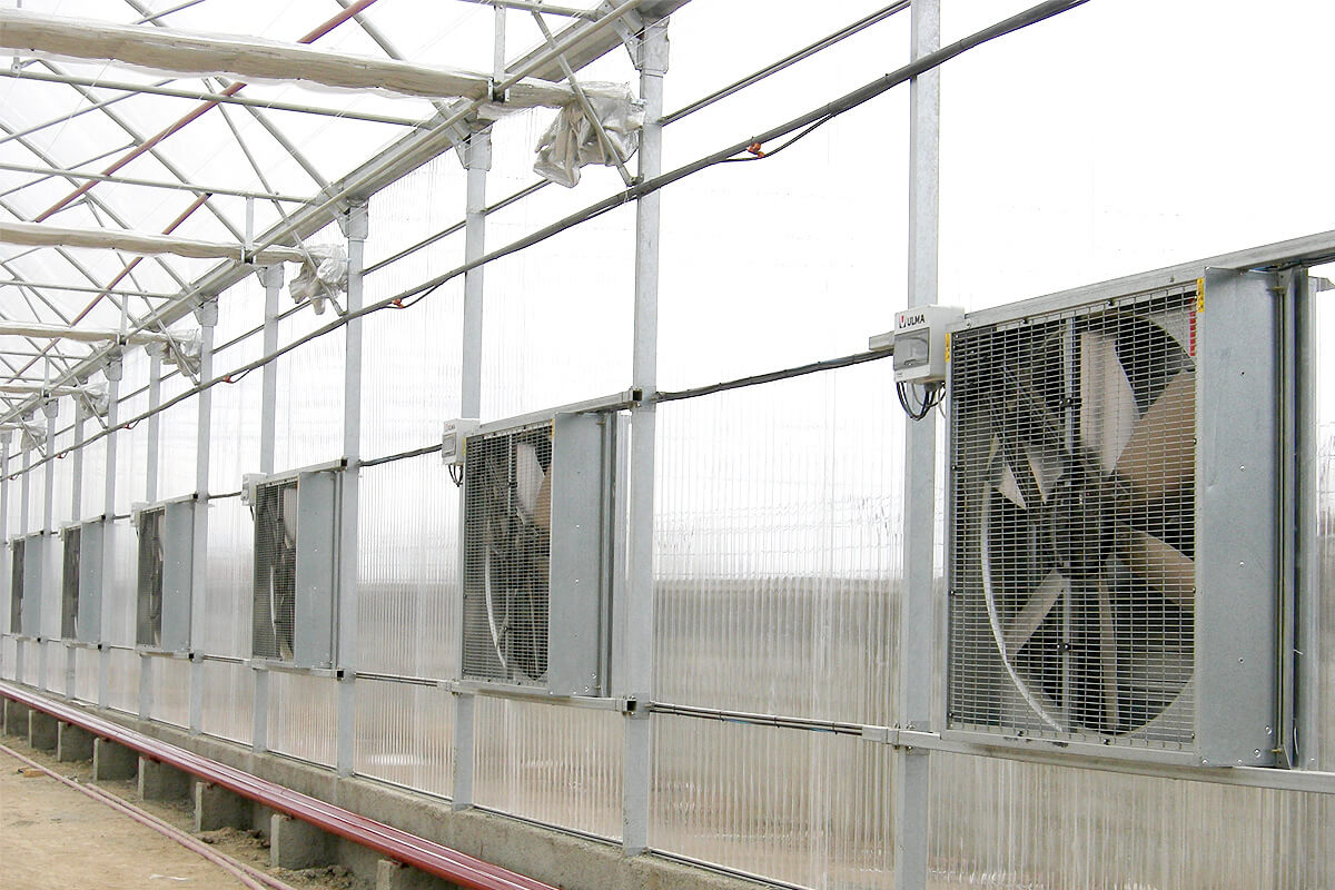 15 Superior Greenhouse Ventilation Fan for 2024