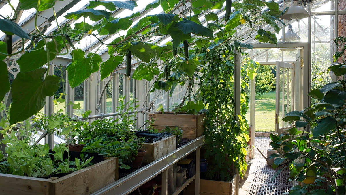 8 Amazing Greenhouse Gardening for 2024