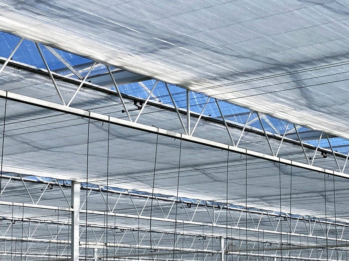 8 Superior Greenhouse Screen for 2024