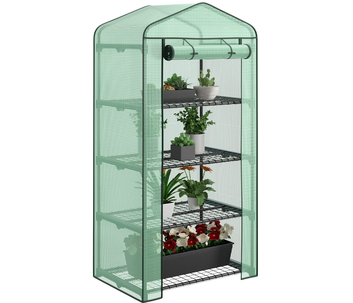 8 Unbelievable 4-Tier Mini Greenhouse for 2024
