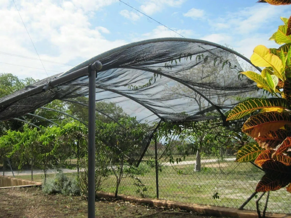 8 Unbelievable Greenhouse Shade for 2024