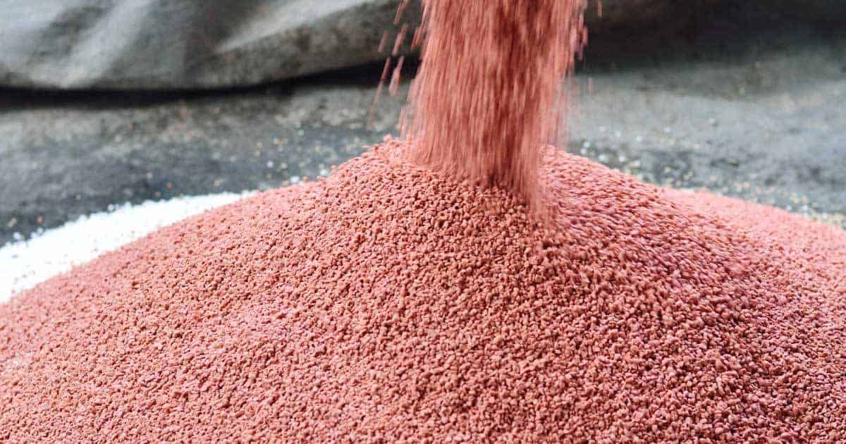 8 Unbelievable High Phosphorus Fertilizer for 2024