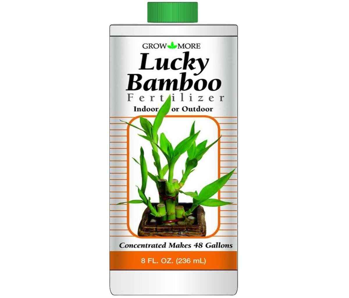 9 Amazing Lucky Bamboo Fertilizer Plant Food for 2024