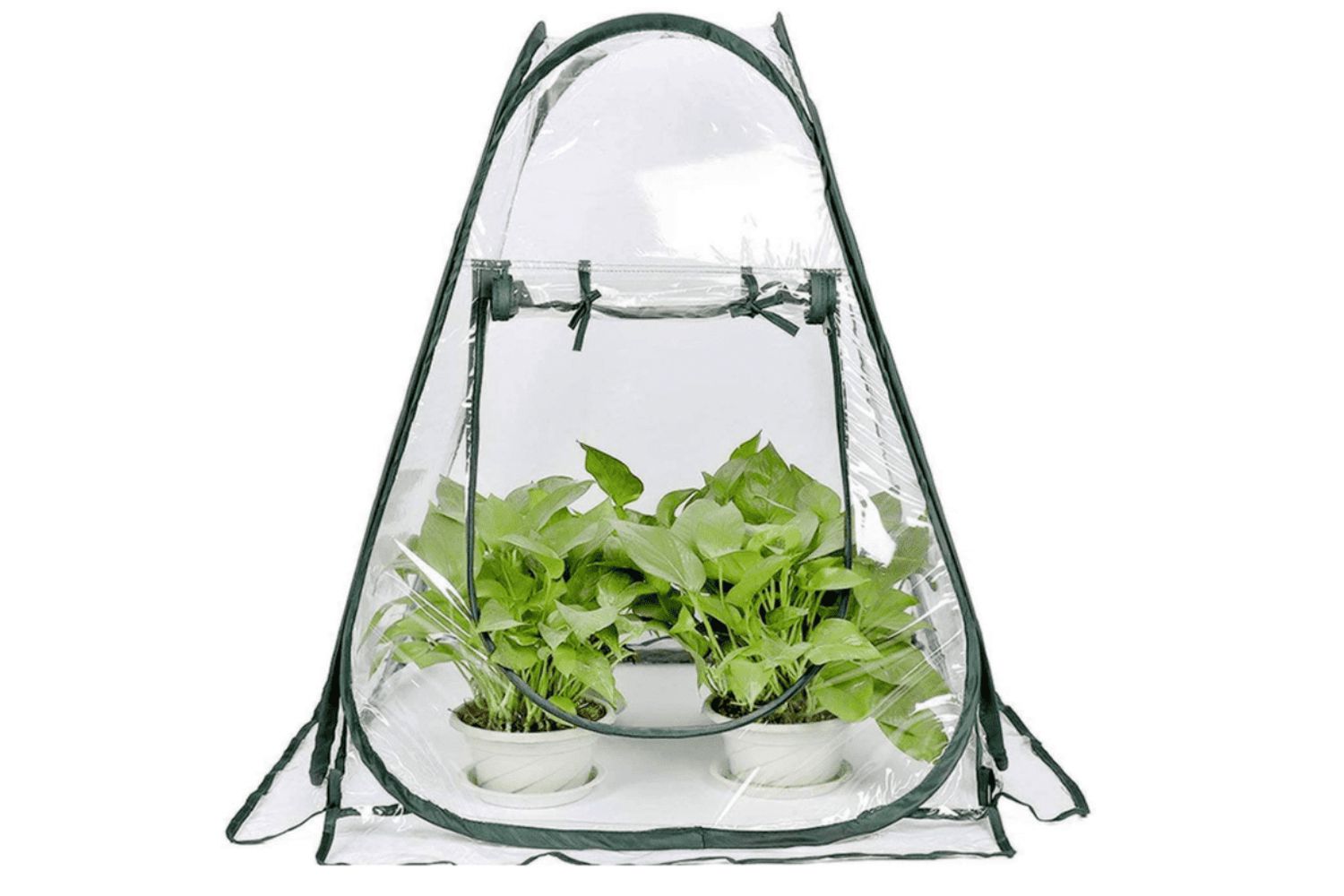 9 Amazing Small Greenhouse Kit for 2024