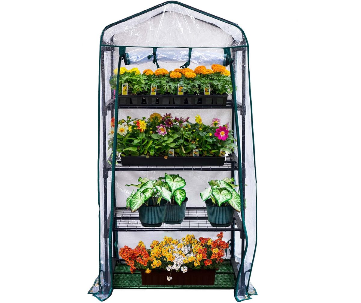 9 Incredible Gardman R687 4-Tier Mini Greenhouse for 2024