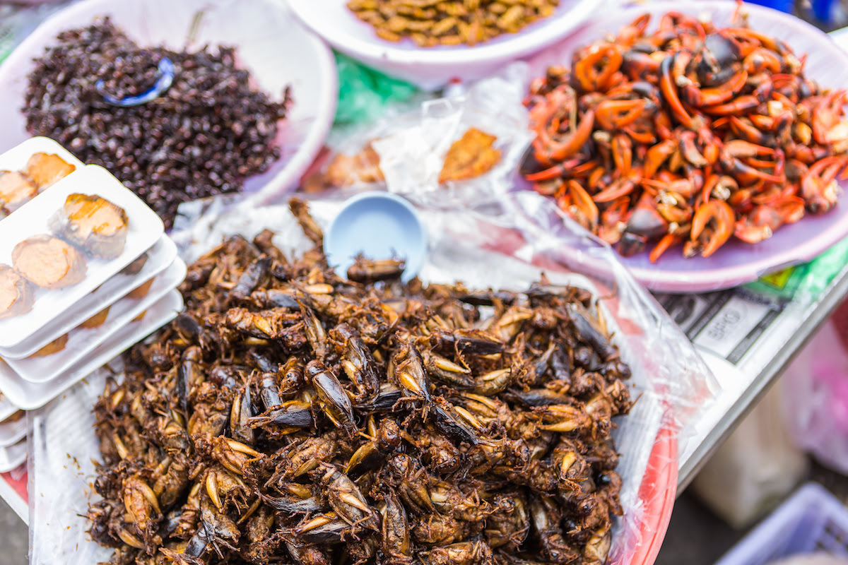 What Countries Eat Insects