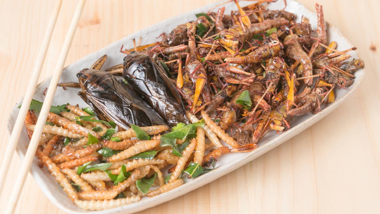 What Food Contains Insects
