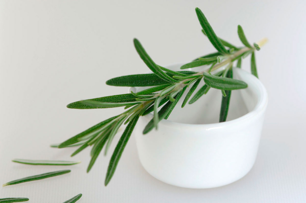 How Do You Use Rosemary For Hair Growth