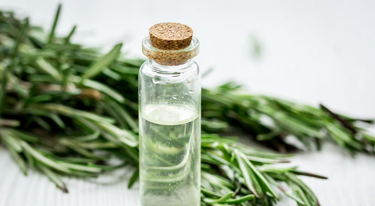 How Often Should You Put Rosemary Oil On Your Hair