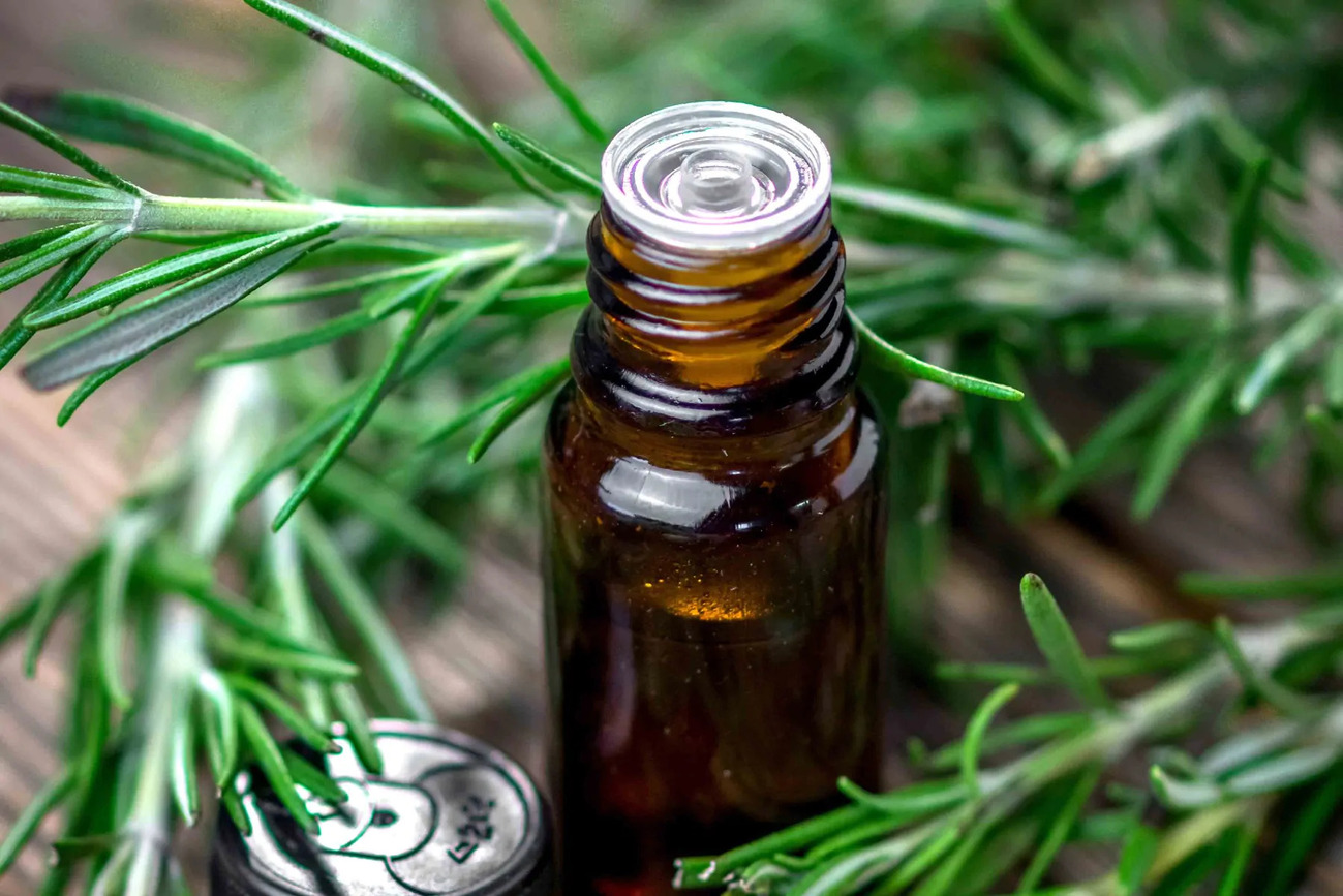 How To Make Rosemary Essential Oil