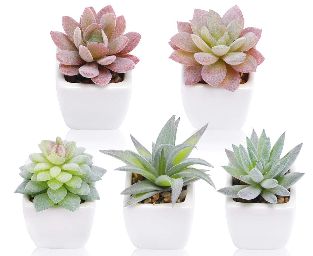 How To Plant Fake Succulents