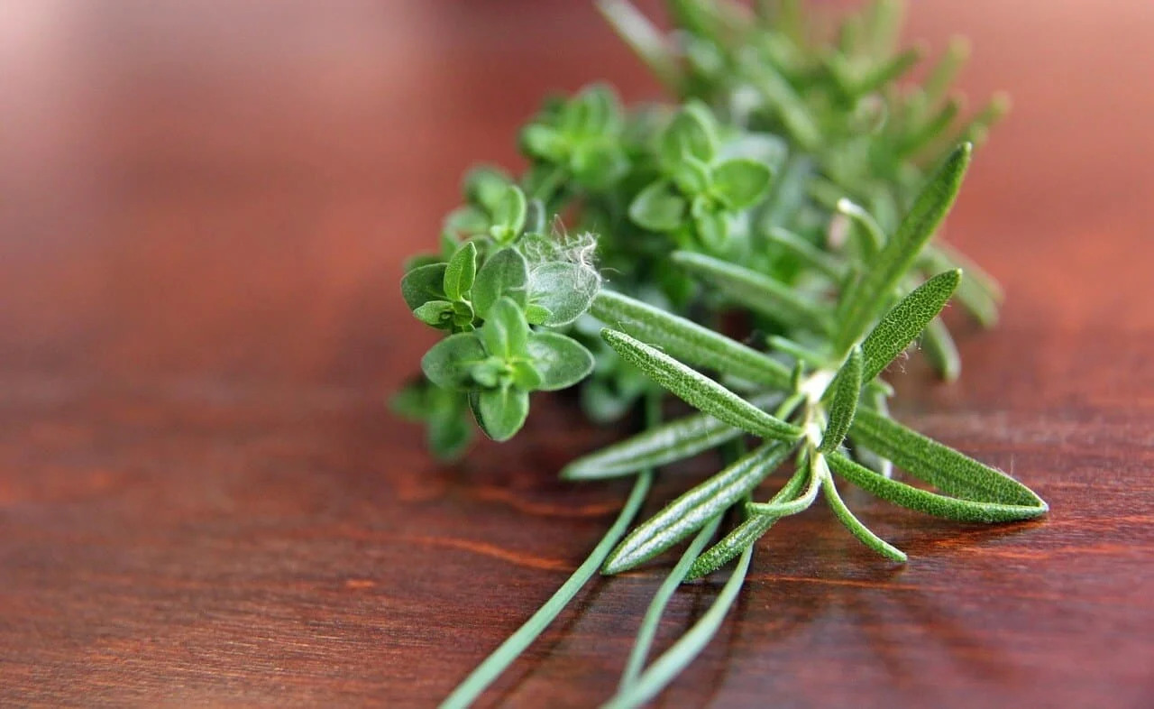 How To Store Rosemary And Thyme