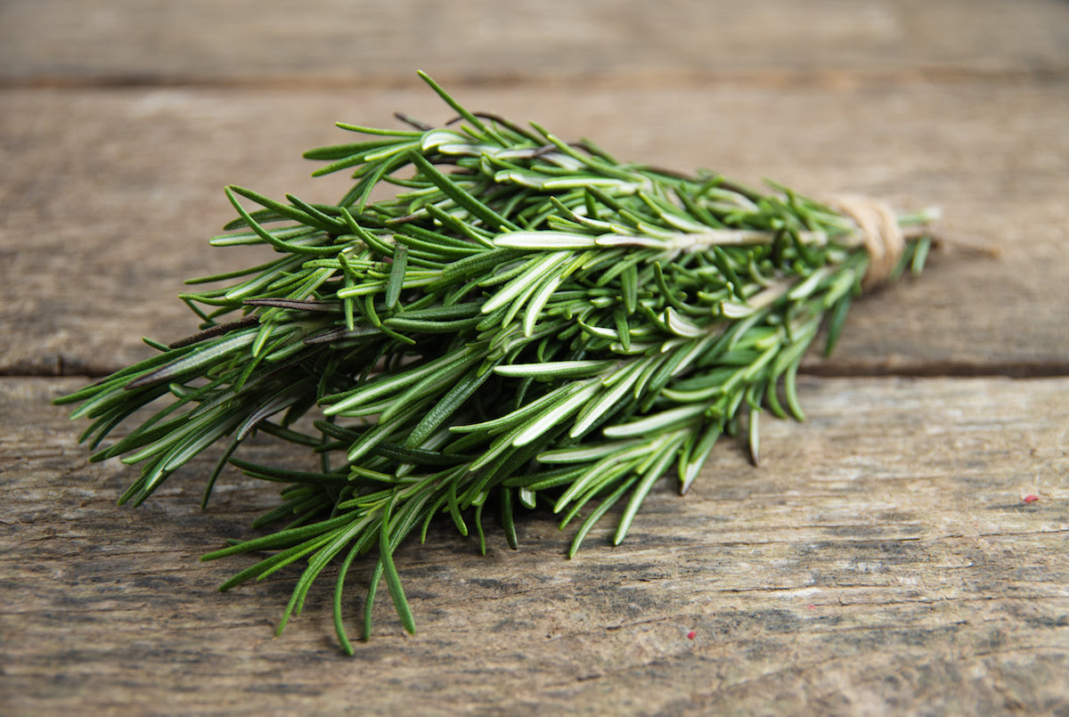 How To Use Rosemary Herb