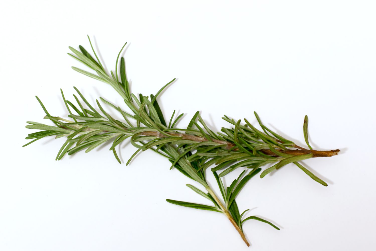 What Is A Rosemary Sprig?