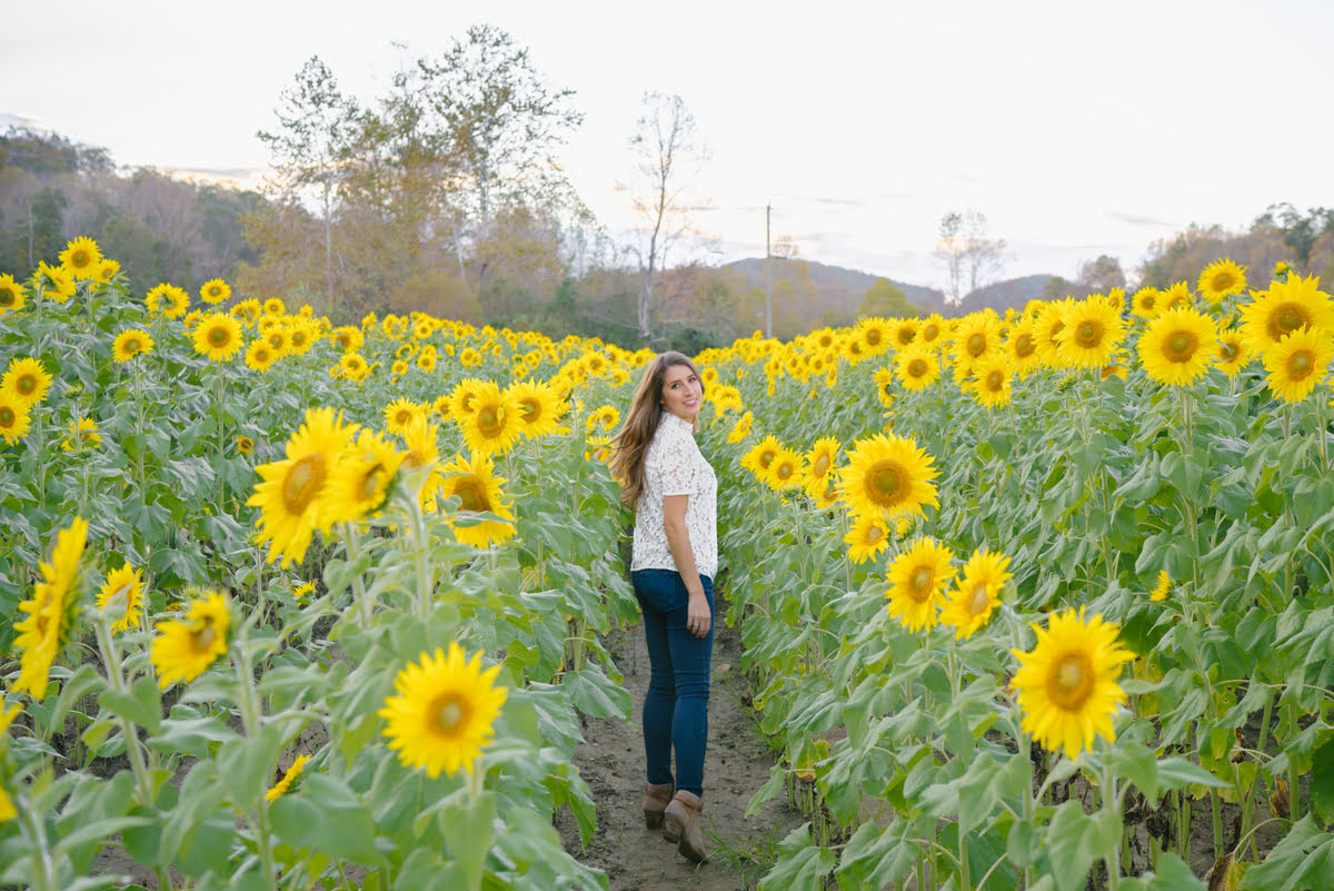 When To Plant Sunflowers In Georgia