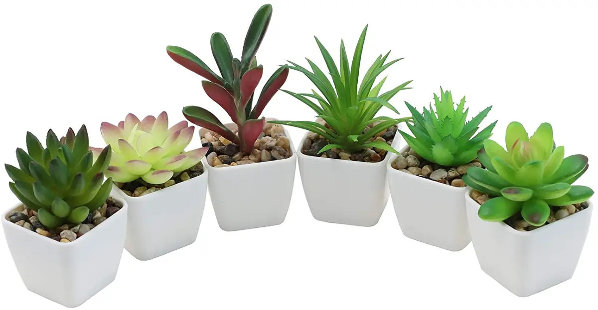 Where To Buy Fake Succulents